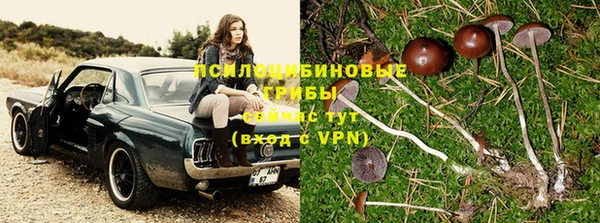 ECSTASY Лихославль