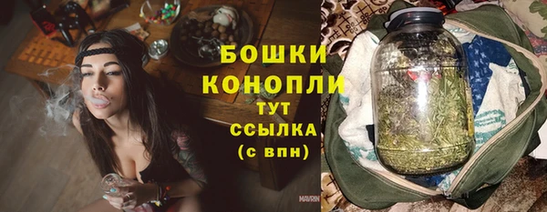 спайс Ладушкин